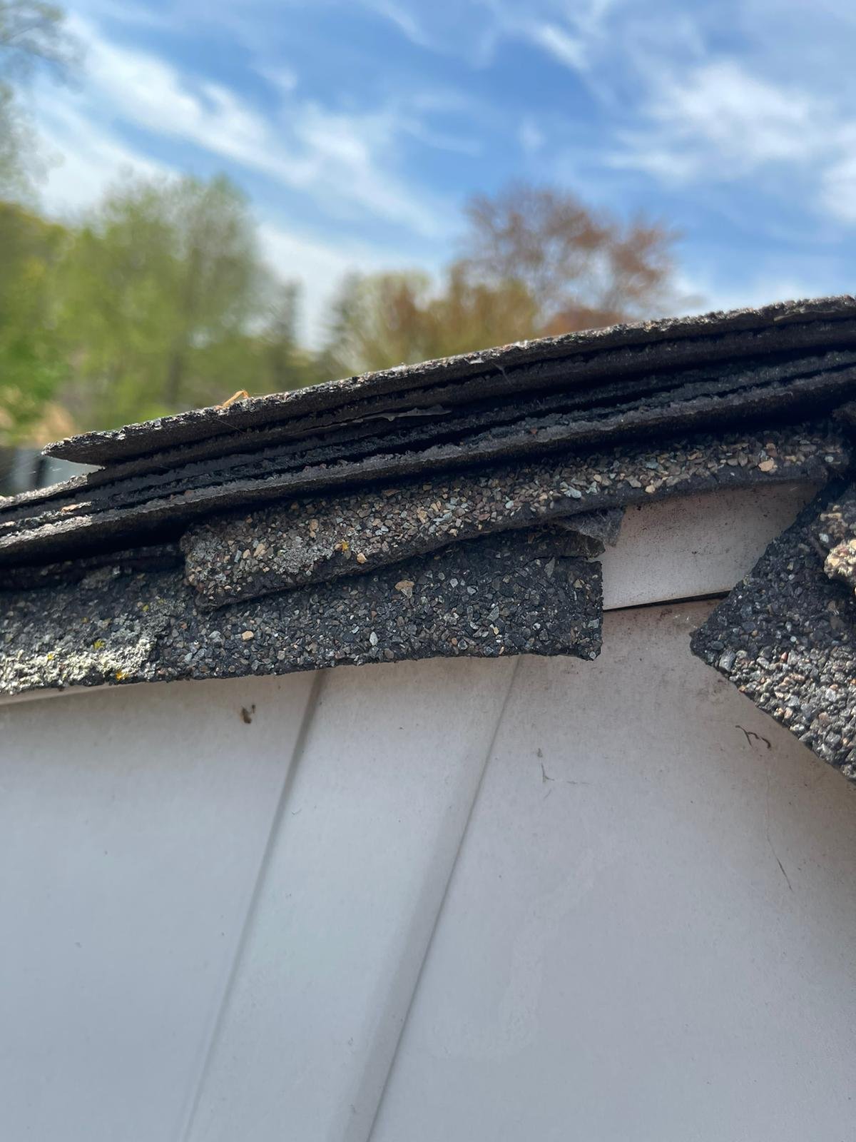 Damaged shingle close-up