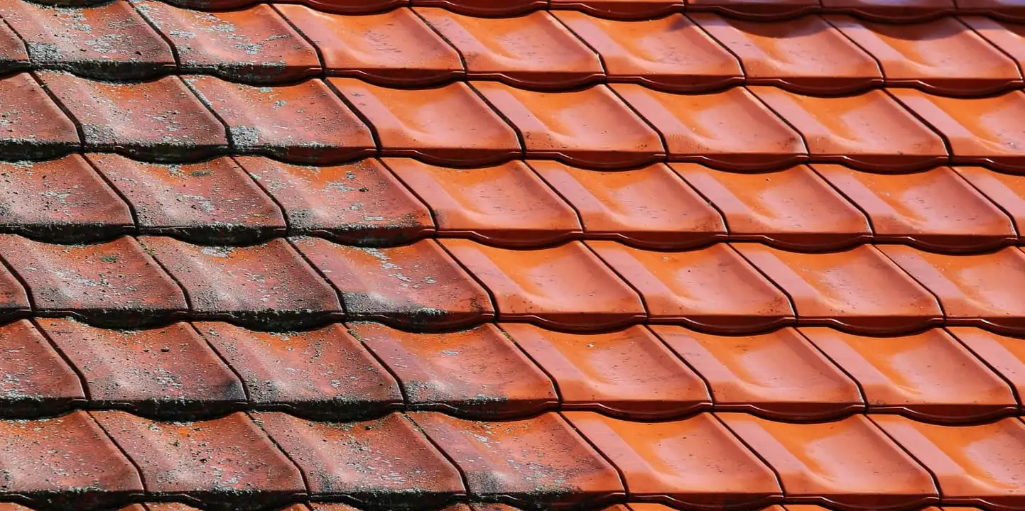 Roof Cleaning & Coating