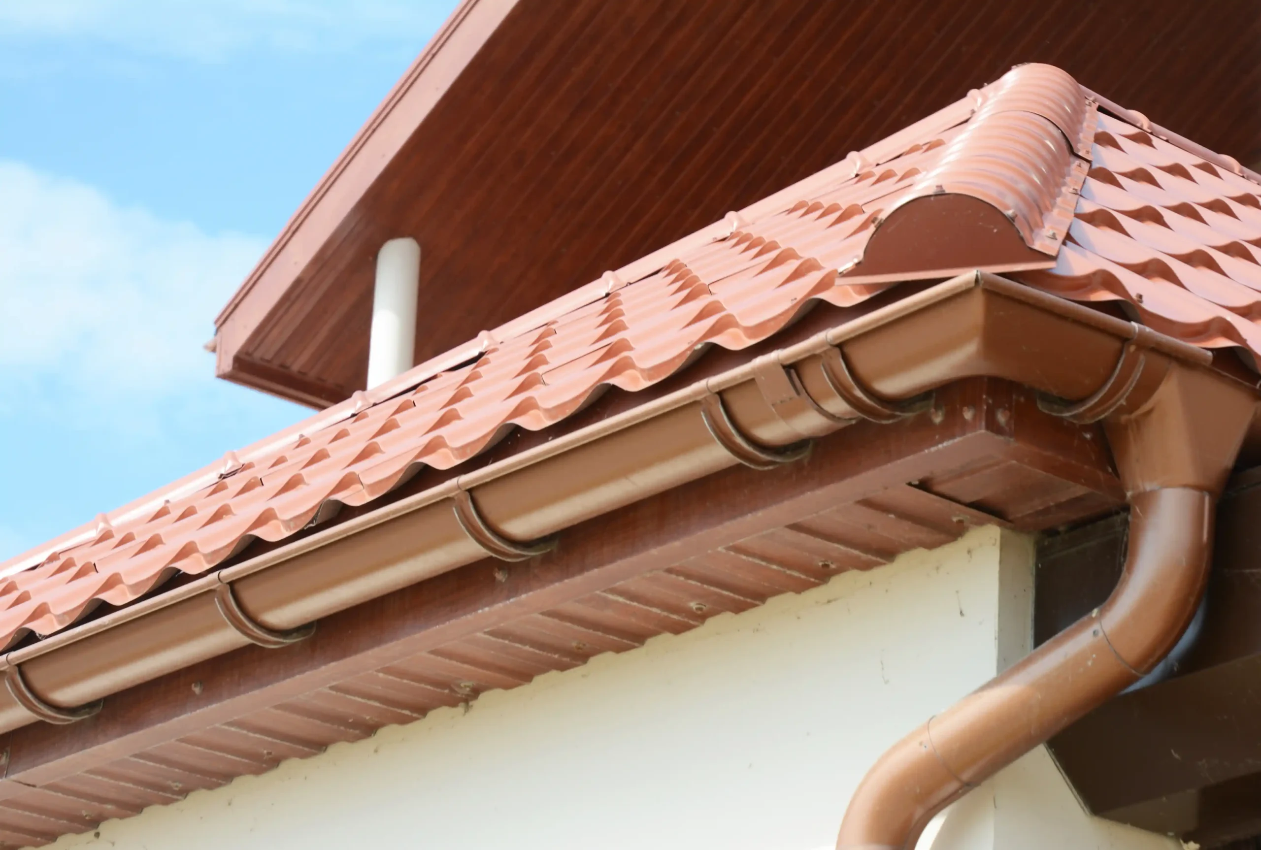 Gutter Cleaning